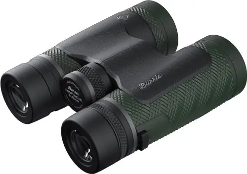 300278 eye end.jpg