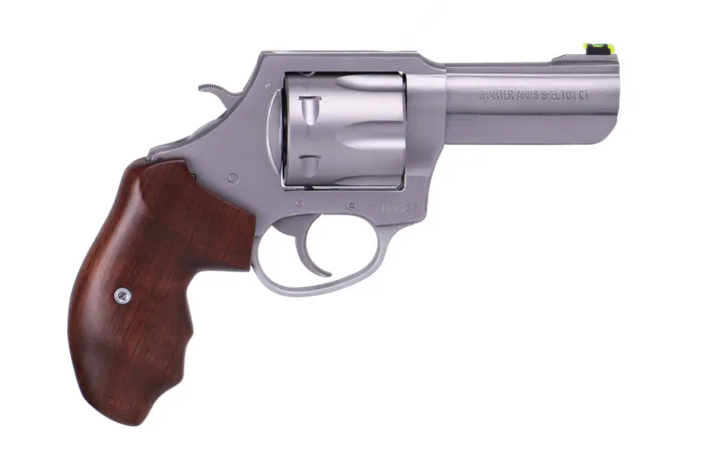 charter-arms-the-professional-357mag-ss-3