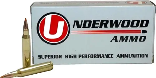 underwood-458-hammmer-300gr-ballistic-tip-20rd-10bx-cs