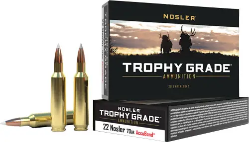 nosler-trophy-grade-22-nosler-70gr-accubond-tip-20rd-10bx-cs