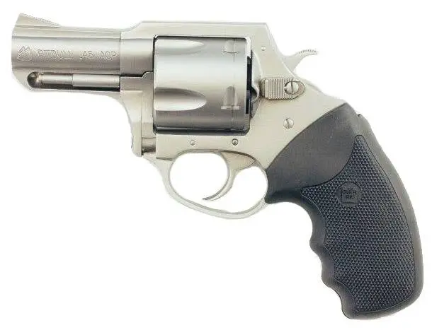 charter-arms-charter-pitbull-45acp-ss-2-5
