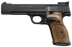 sw-41-22lr-5-5-hb-as-10sh-ats-ts-dt-blued-wood