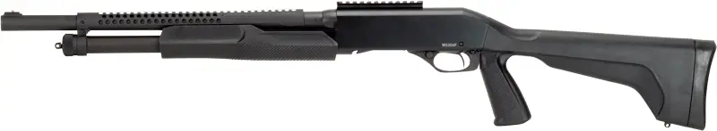 g19496 left.jpg