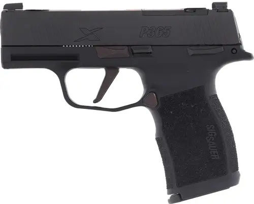 g365x9bxr3pms10 left.jpg