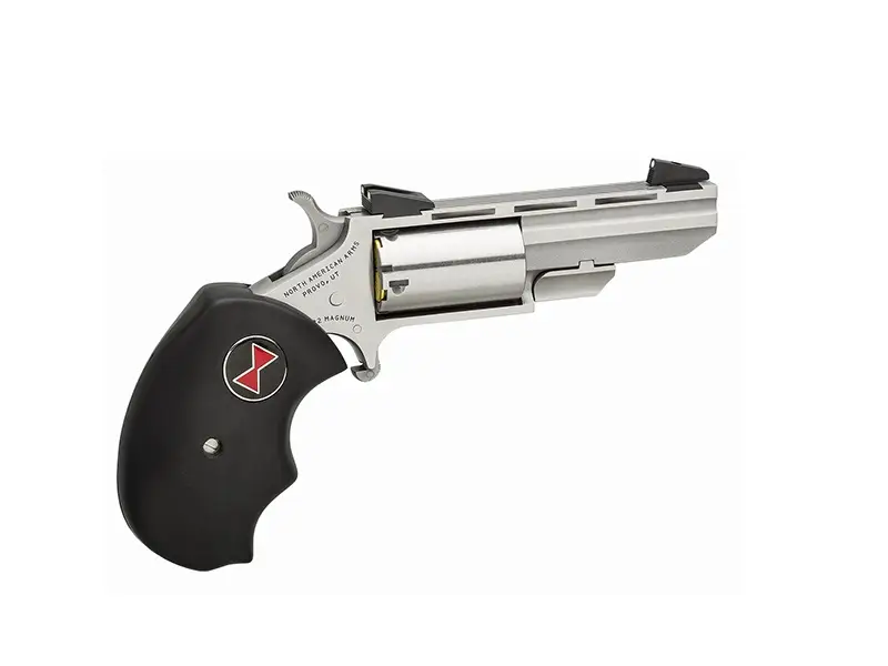north-american-arms-22mag-2-black-widow-ss-fs