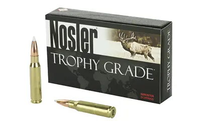 nosler-308win-165gr-ab-20-200