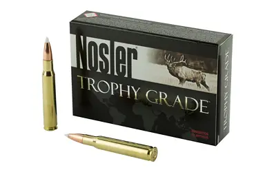 nosler-30-06-165gr-ab-20-200