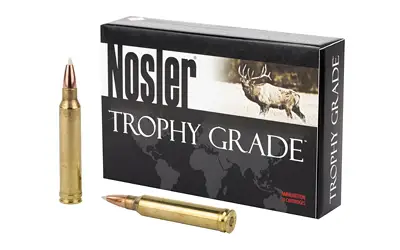 nosler-300win-180gr-ab-20-200