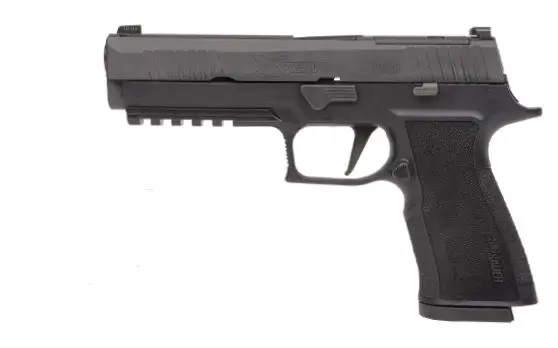 sig-sauer-p320-xten-10mm-5-x-ray-101