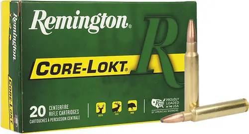 remington-338-rum-250gr-core-lokt-psp-20rd-10bx-cs