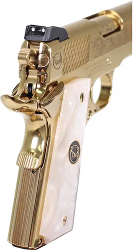 geaglenoblewp rear.jpg