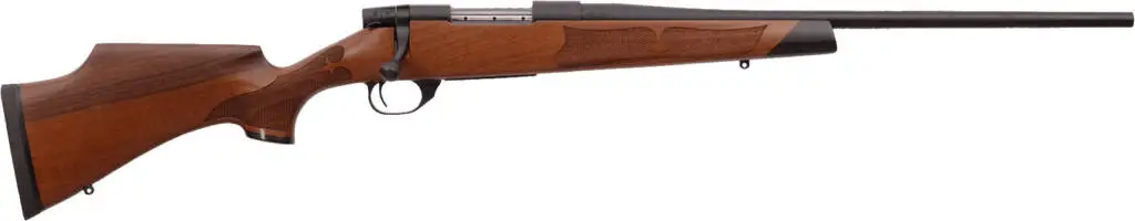 weatherby-vanguard-camilla-6-5cr-bl-wd