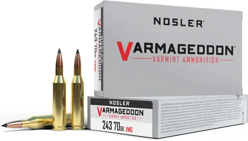 nosler-varmageddon-243-win-70gr-fbt-20rd-10bx-cs