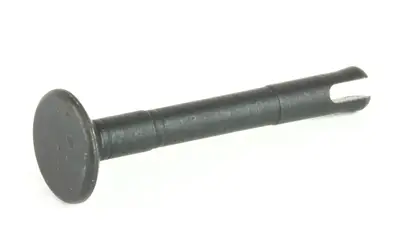 knsperma 1.jpg