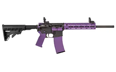 tippmann-m4-22-accent-22lr-25rd-prp
