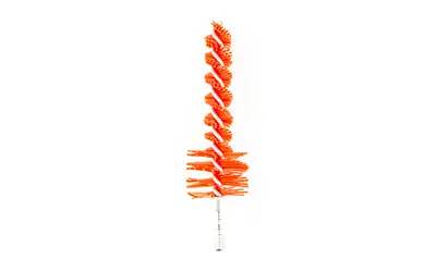 b-c-nylon-bore-brush-225-556-msr-red