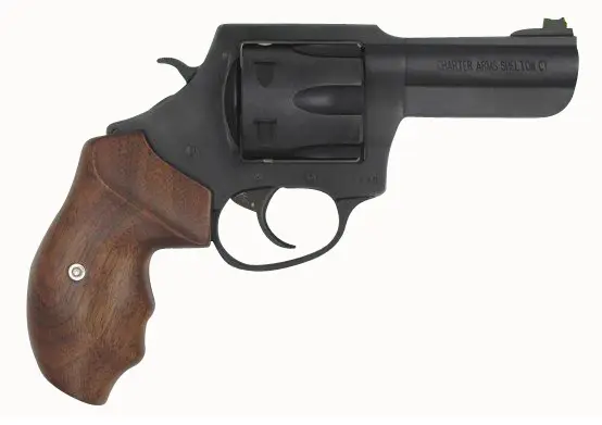 charter-arms-the-professional-357mag-4-2