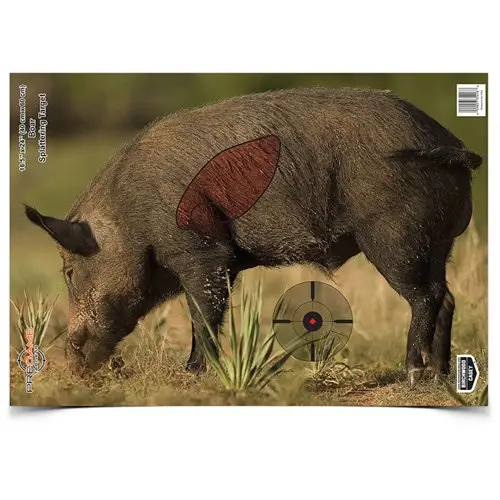 pregame-boar-target-16-5-x-24-3-targets