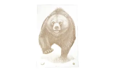 action-tgt-ak-state-park-bear-100pk