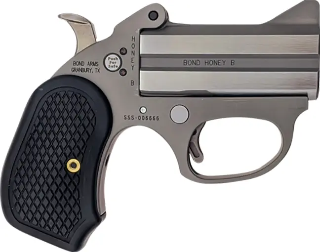 bond-arms-honey-b-22wmr-3-mattes-ss-b6-extended-grip