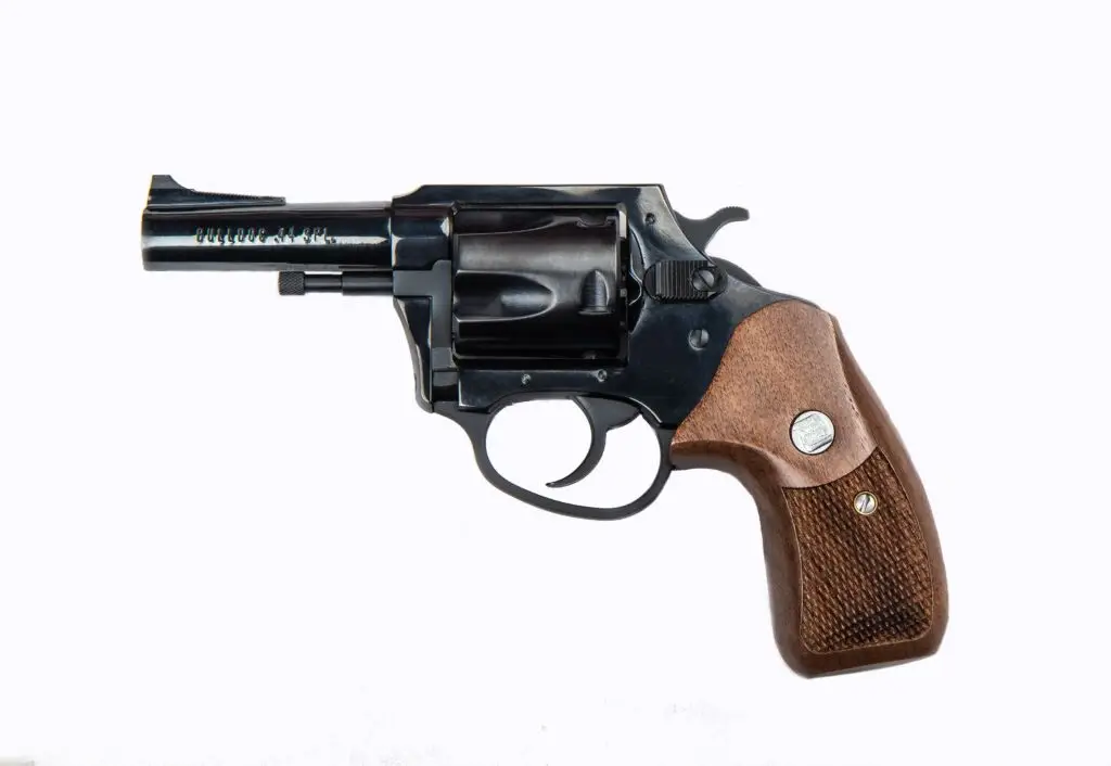 charter-arms-classic-bulldog-44spl-3-blued-wood-grips