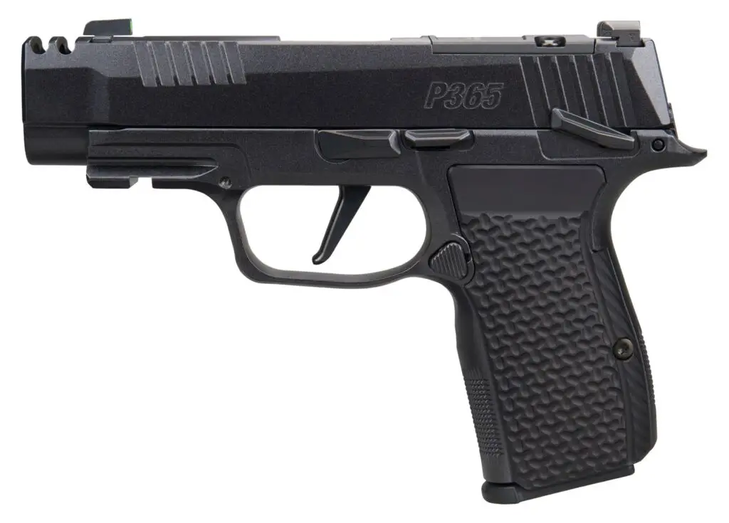 sig-sauer-p365-axg-luxe-380acp-ms-ca