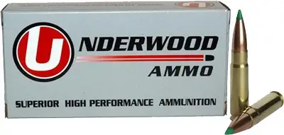 underwood-300-aac-125gr-bt-20rd-10bx-cs