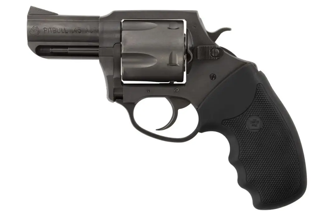 charter-arms-charter-pitbull-45acp-nit-2-5