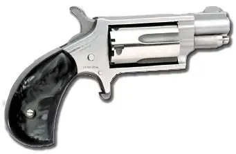 north-american-arms-mini-22mag-rev-1-1-8-ss-blkprl