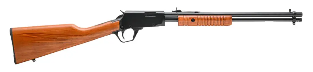 rossi-gallery-22lr-pump-18-15-shot-black-wood